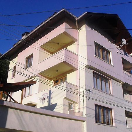 Vitosha Guest House デヴィン エクステリア 写真