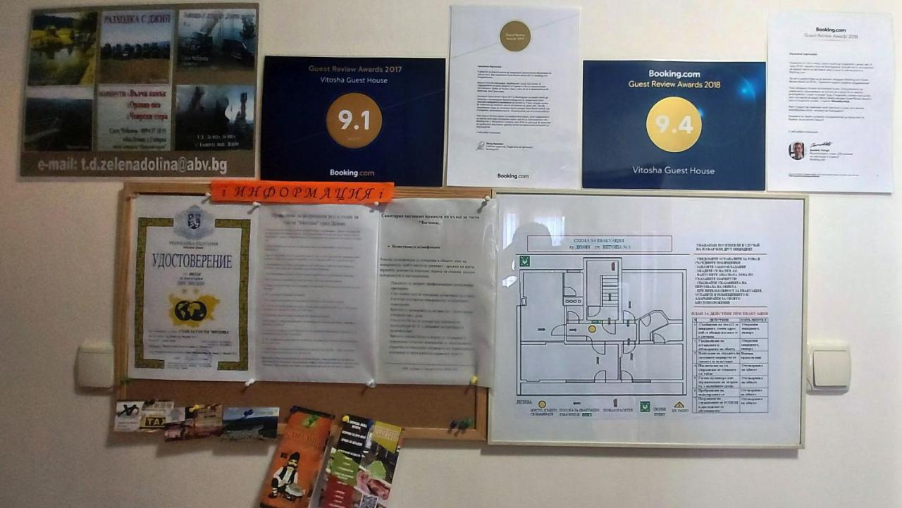 Vitosha Guest House デヴィン エクステリア 写真